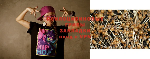 прущий лед Алексин
