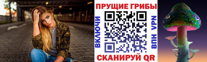 Псилоцибиновые грибы GOLDEN TEACHER цены наркотик Беломорск